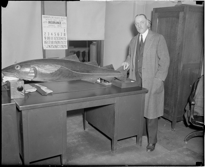 The Scacred Cod, a Massachusetts Oddity | Sentinel Hill Press