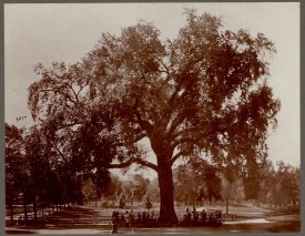 commonwealth_2801pn36h_accessfull