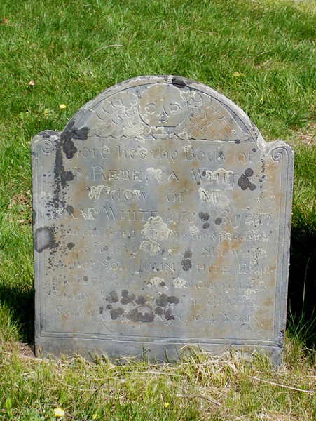 19971404_118226318209